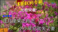 民间小调《光棍哭妻》