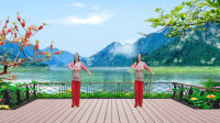 广场舞《鸟儿对花说》入门16步初级舞蹈