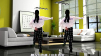广场舞《醉红妆》背面简单好看
