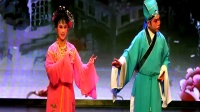 锡剧《珍珠塔 前园会》王金妹（金子）李伟云演