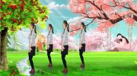 DJ广场舞《白头的月亮》醉人心扉