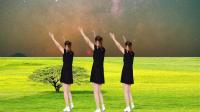 DJ广场舞《一朵回忆心上开》歌曲动感好听