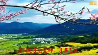 飞跃广场舞《好一朵女人花》