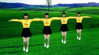 广场舞《中国丈母娘》简单又好看