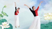 糖豆广场舞课堂《醉红妆》全网最美古典舞教学下载