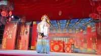荆州花鼓戏《假洞房双告状》 主演   罗德军   梁浩   向杰中   蔡艺霞  梁艳下载