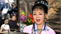 安徽庐剧《王三姐》三姐出嫁泪悲涕