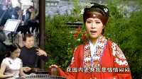 安徽庐剧《王三姐》恨一声老头子不近人情