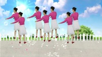 DJ版广场舞《梨花飞情人泪分解》歌曲动情舞