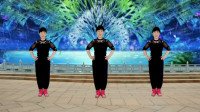 郴州冬菊广场舞《想你想在心窝窝》64步附分