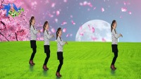 DJ广场舞《白头的月亮》舞步时尚动感真好看
