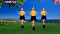 广场舞《苦了累了听听歌》64步附分解