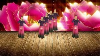 DJ情歌广场舞《红枣树》旋律醉人动感欢快时