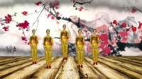 DJ广场舞《爱谁谁分解》旋律欢快动感简单又