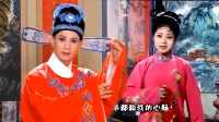 黄梅戏《戏小姨》啥事都称我心肠 唯有生儿