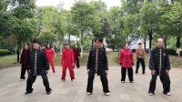 陈式太极拳74式下载