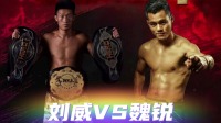 武林风王者挑战赛 魏锐VS刘威 魏锐首回合被
