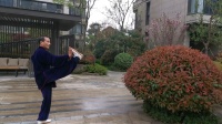 24式太极拳正面演示 朱渭江表演下载
