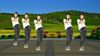 广场舞《流浪的情话》节奏动感弹跳32步
