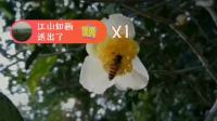 花鼓戏《平贵回窑》
