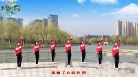 广场舞《拉萨夜雨》