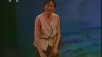 三宝开荒