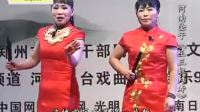 河南坠子《王三姐拜寿》 胡中花  胡银花演唱下载