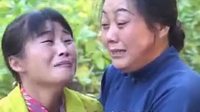民间小调《好闺女哭坟》全集