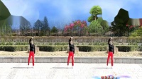 美玲玉广场舞《姐就是女王》舞步简单时尚 