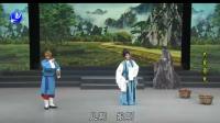 莆仙戏《宋室奇冤》全集 炳棋剧团