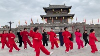 传统杨式太极拳28式（东晋水成）下载