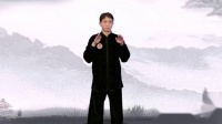 健身气功易筋经 镜面演示（李伟）