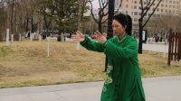 新编28式太极拳20至23式践步指裆捶下载