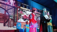 湘阴花鼓戏《三请樊梨花》下载