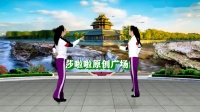 广场舞《情歌轻轻唱DJ》