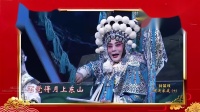 京剧反串《杨门女将探谷》表演 杨赤 张志芳 杨雪斌 马燕超封箱戏下载