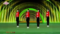 惠汝广场舞《你比春天还美丽》简单舞步送给