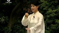 陈氏太极拳（基础22式拳）马畅下载