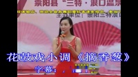 花鼓戏小调 《摘香葱》字幕版 主演 严建中