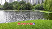 淮剧《罗英访贤》选段 买你怀抱三滴水 高春林 周凤英演唱下载