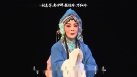锡剧经典名家版《玉蜻蜓》第四场 探病得子 