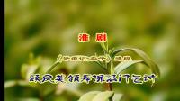 淮剧《牙痕记》选段 顾凤英领寿保沿门乞讨 