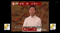 陈氏太极拳老架一路  正背面 陈正雷下载