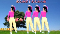 DJ沈念版广场舞《灌不醉的寂寞》