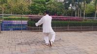 《新编28式太极拳》演练武英文下载