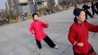 天水杨式太极拳拳友集体演练《传统杨式太极拳八十五式》下载