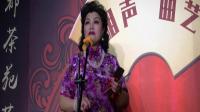 梅花大鼓 《黛玉思亲》 褚秀云演唱