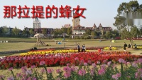 江西美美哒广场舞《那拉提的养蜂女》