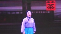 京剧演唱会《沙家浜》第10集