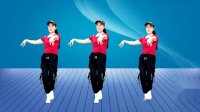 广场舞《灌不醉的寂寞》伤感情歌正背面演示